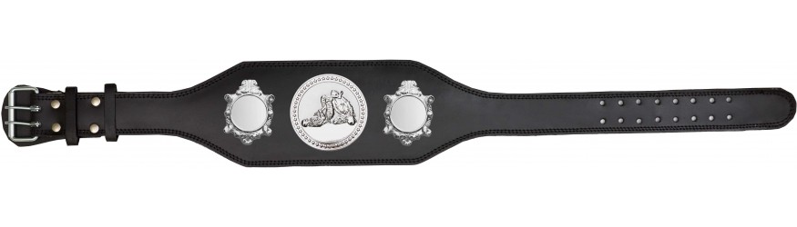 JIU JITSU CHAMPIONSHIP BELTS-BUD003/S/JJS-4 COLOURS